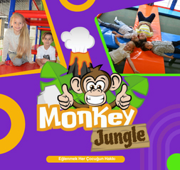 Monkey Jungle